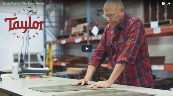 Taylor Guitars Releases 'The Ebony Project': Documentary of Taylor's Responsible Ebony Wood Sourcing