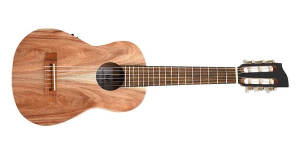 Woodpecker Instruments Releases New 31” Travel Guitar