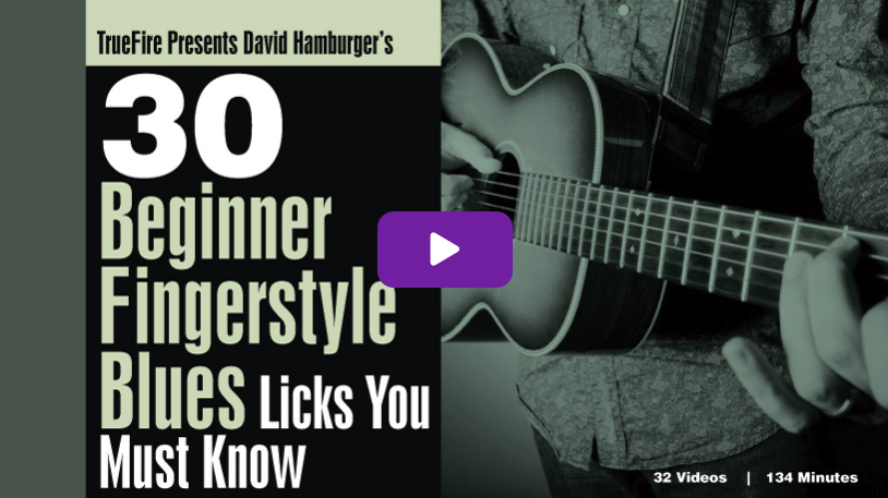 David Hamburger's 30 Beginner Fingerstyle Blues Licks You MUST Know