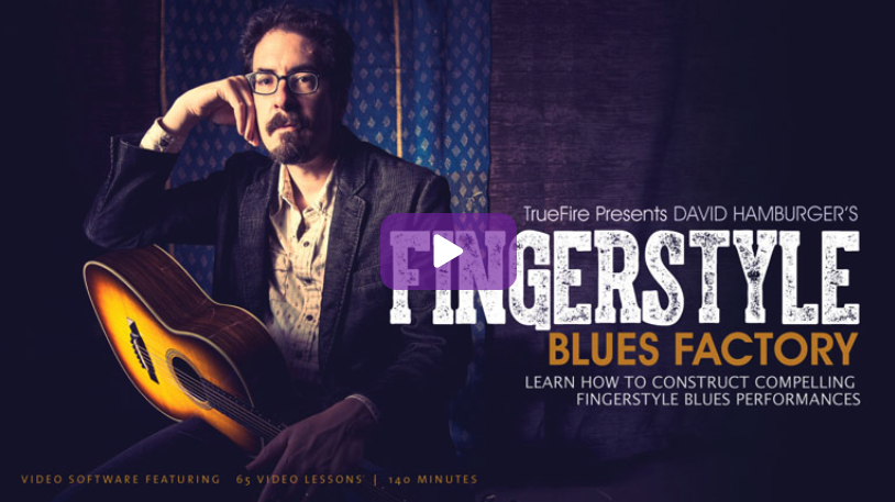 David Hamburger's Fingerstyle Blues Factory